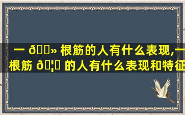 一 🌻 根筋的人有什么表现,一根筋 🦋 的人有什么表现和特征
